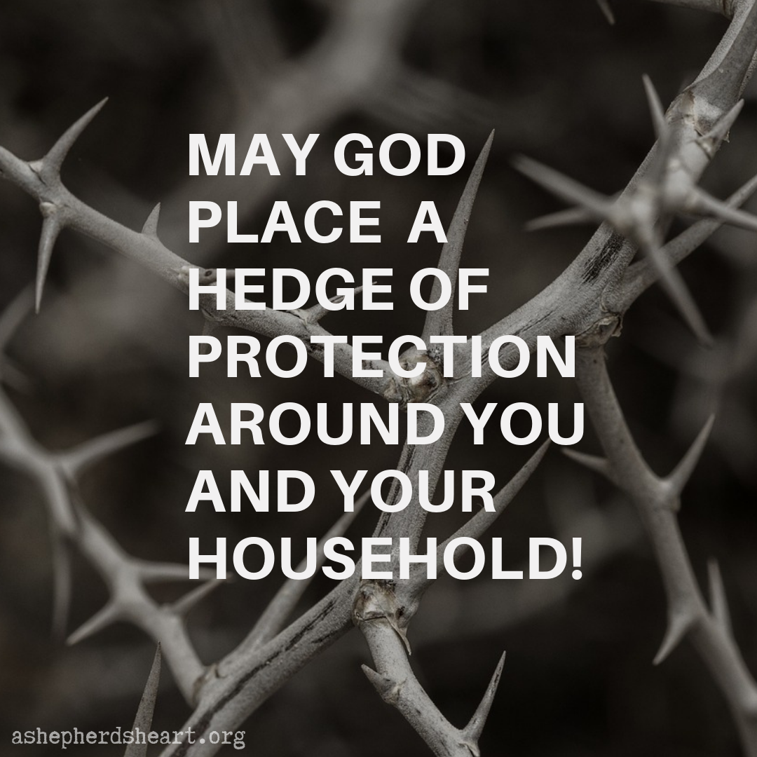 God's Protection